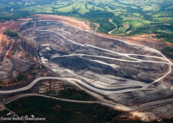 Hutan Gundul, Kapital Subur: Bagaimana Eksploitasi Alam Menggerus Kalimantan