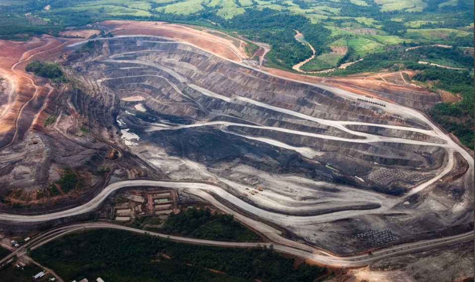 Hutan Gundul, Kapital Subur: Bagaimana Eksploitasi Alam Menggerus Kalimantan