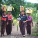 Covid-19, Universal Basic Income and Rural Inequalities in Rural Flores, Indonesia
