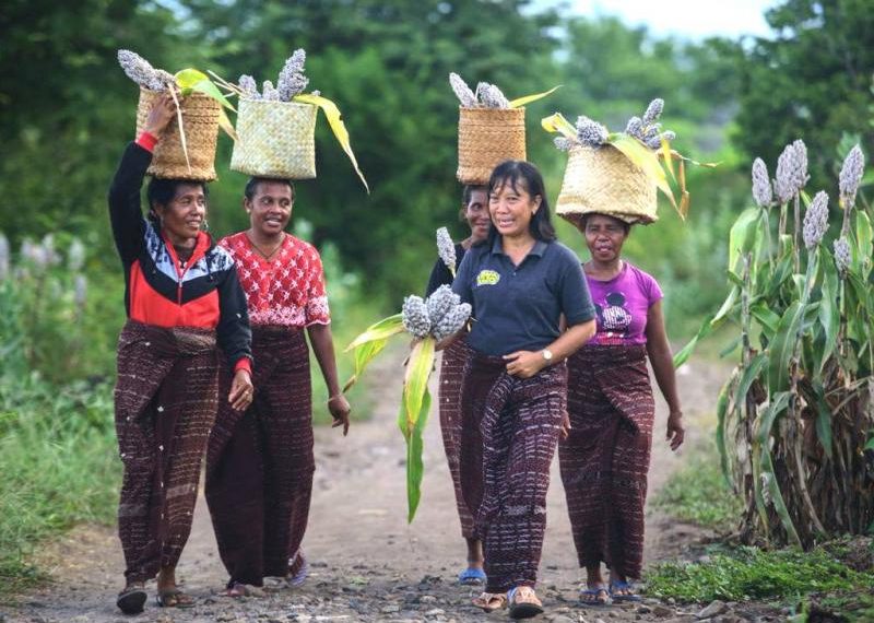 Covid-19, Universal Basic Income and Rural Inequalities in Rural Flores, Indonesia