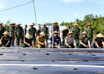 Negara, Kekuasaan, dan Kapitalisme Militer: Dari Dwifungsi ke Sirkuit Akumulasi